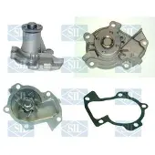 Saleri SIL Wasserpumpe PA803