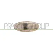 PRASCO Blinkleuchte DS0074041