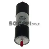 FRAM Kraftstofffilter P10820