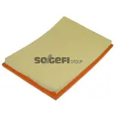 FRAM Luftfilter CA10675