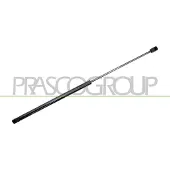 PRASCO Gasfeder, Koffer-/Laderaum OP0349065