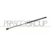 PRASCO Gasfeder, Koffer-/Laderaum FD7179055