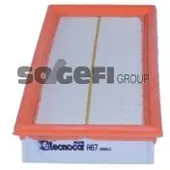 TECNOCAR Luftfilter A87