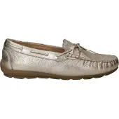 Ara Alabama Sport