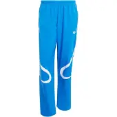 Adidas Jogginghose adicolor Teamgeist JP1120 Blau Regular Fit