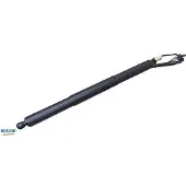 BUGIAD BRD50704 Gasfeder Heckklappendämpfer für BMW X5 (F15, F85)