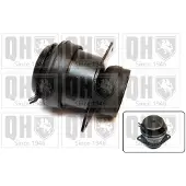 Quinton Hazell Motorlager EM1888