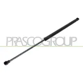 PRASCO Gasfeder, Koffer-/Laderaum VG0329055