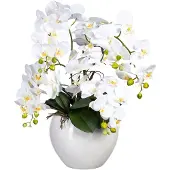 Creativ Green Kunstorchidee "Phalaenopsis im Keramiktopf"