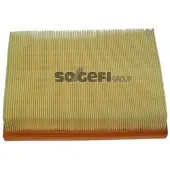 FRAM Luftfilter CA10445