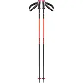 Salomon Polar Pro S3 Stöcke