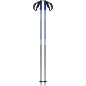 Salomon Polar Pro Stöcke