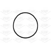 KWP Wasserpumpe 10898