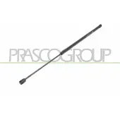 PRASCO Gasfeder, Koffer-/Laderaum LA4029055