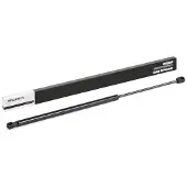 RIDEX Heckklappendämpfer CITROËN 219G0239 8731C0,9618119180