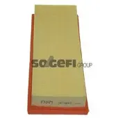 FRAM Luftfilter CA10693