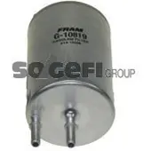 FRAM Kraftstofffilter G10819