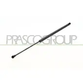PRASCO Gasfeder, Koffer-/Laderaum CI4249055