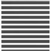 vidaXL Doppelrollo Schwarz 150x100 cm Stoffbreite 145,9 cm Polyester