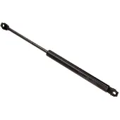 MAXGEAR Gasfeder, Koffer-/Laderaum 12-1598