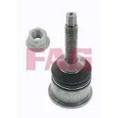 Fag Traggelenk Vorne für JAGUAR S-Type (X200) 825 0360 10