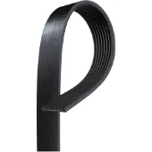 Gates Keilrippenriemen 8PK1305