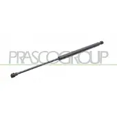PRASCO Gasfeder, Koffer-/Laderaum FT3429055