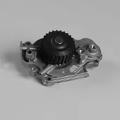 GK Wasserpumpe 987816