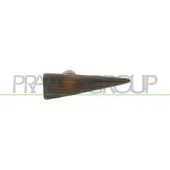 PRASCO Blinkleuchte RN0344141