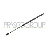 PRASCO Gasfeder, Koffer-/Laderaum FD3409055