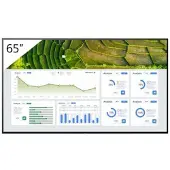 Sony FW-65BZ30L, Digital Signage Flachbildschirm, 165,1 cm (65"), LCD, 3840 x 2160 Pixel, WLAN, 24/7
