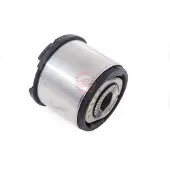 Master Sport Lagerung Achsträger 29791-PCS-MS Hinten beidseitig für AUDI A6 Avant (4F5, C6)