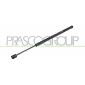 PRASCO Gasfeder, Koffer-/Laderaum FD4229053