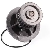 GK Wasserpumpe 980764