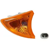 DT Spare Parts Blinkleuchte 725103 vorne rechts für Iveco