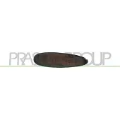 PRASCO Blinkleuchte FT1484039