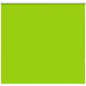 vidaXL Verdunkelungsrollo Grün 150x130cm Stoffbreite 146,6cm Polyester