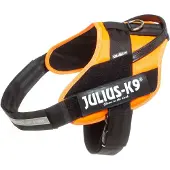 JULIUS K-9 Idc Sigiloso Harness Orange XL