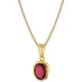 Trendor 68402 Granat-Anhänger Gold 333/8K mit vergoldeter Silberkette