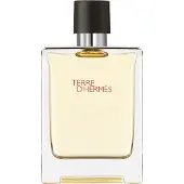Hermès Paris Terre D'Eau de Toilette 100 ml