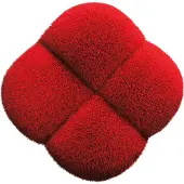 Shiseido HANATSUBAKI Hake Polishing Face Brush