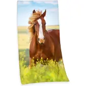 MCU Badetuch "Pferd", (1 St., Badetuch 75 x 150 cm), mit Pferdemotiv