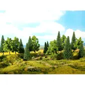 Noch Mischwald