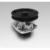 GK Wasserpumpe 985125