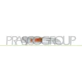 PRASCO Blinkleuchte VG6204313