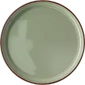 Rosenthal Profi Casual - Moss - Teller flach 27 cm