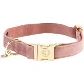 Kentucky Velvet Hundehalsband