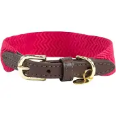 Kentucky Dogwear Jacquard Hundehalsband