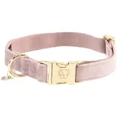 Kentucky Velvet Hundehalsband