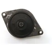 GK Wasserpumpe 981190